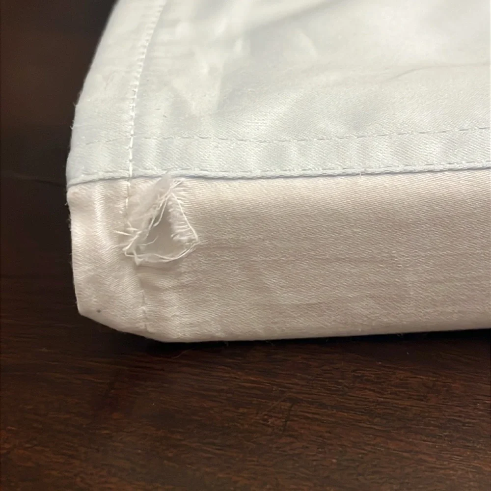 Ralph Lauren RL Organic Sateen Border European Euro Pillow Sham Blue Hyacinth